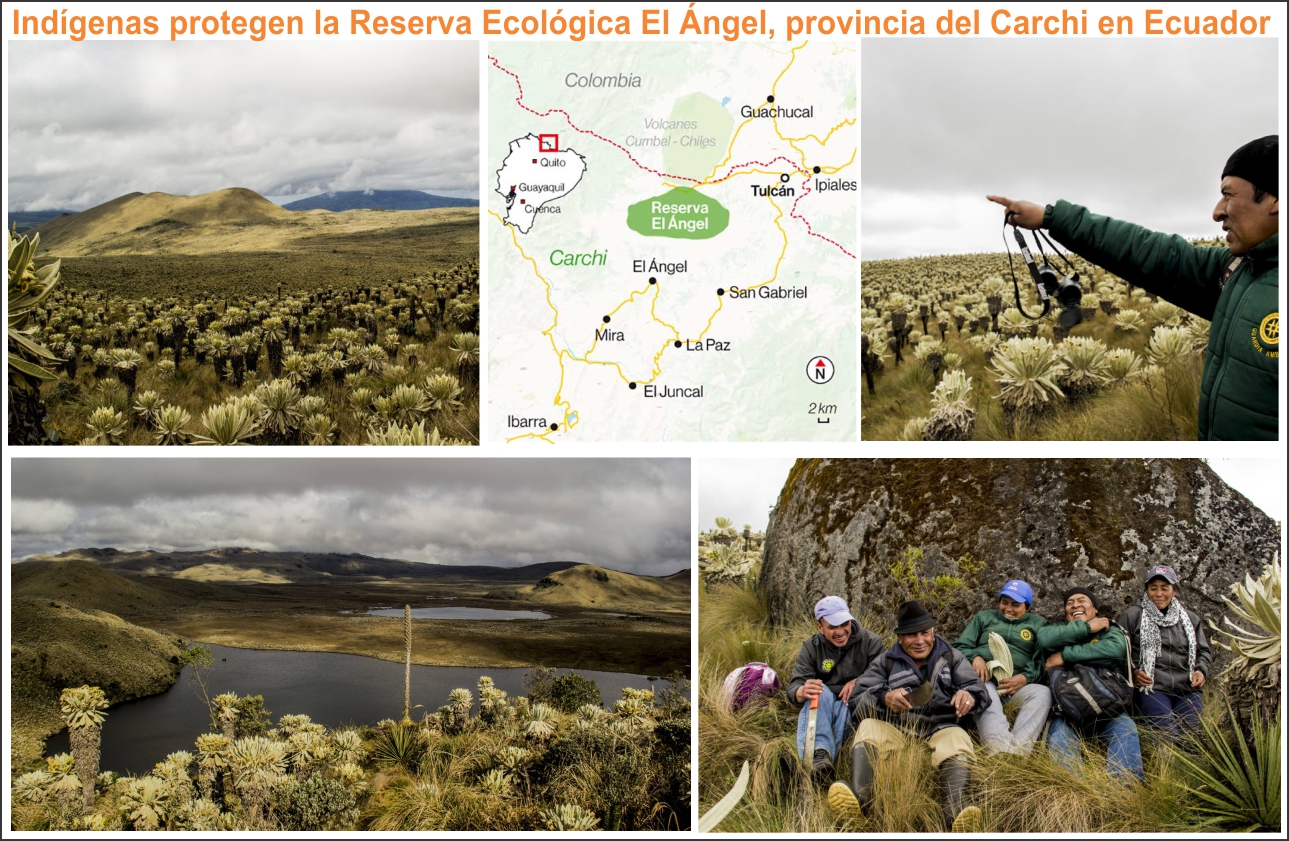  Ind&iacute;genas en defensa de su p&aacute;ramo, Reserva Ecol&oacute;gica El &Aacute;ngel, Carchi, Ecuador