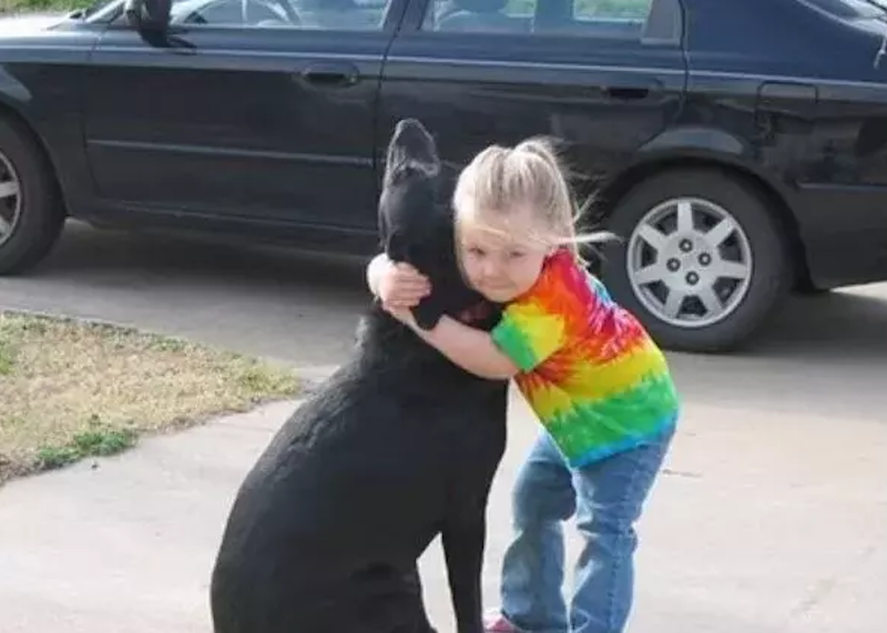 "Querido Dios, &iquest;podr&iacute;as por favor cuidar de mi perro?" La carta que fue respondida por "Dios"