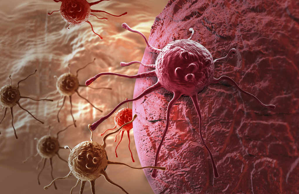  Las 118 cosas que se sabe producen c&aacute;ncer 