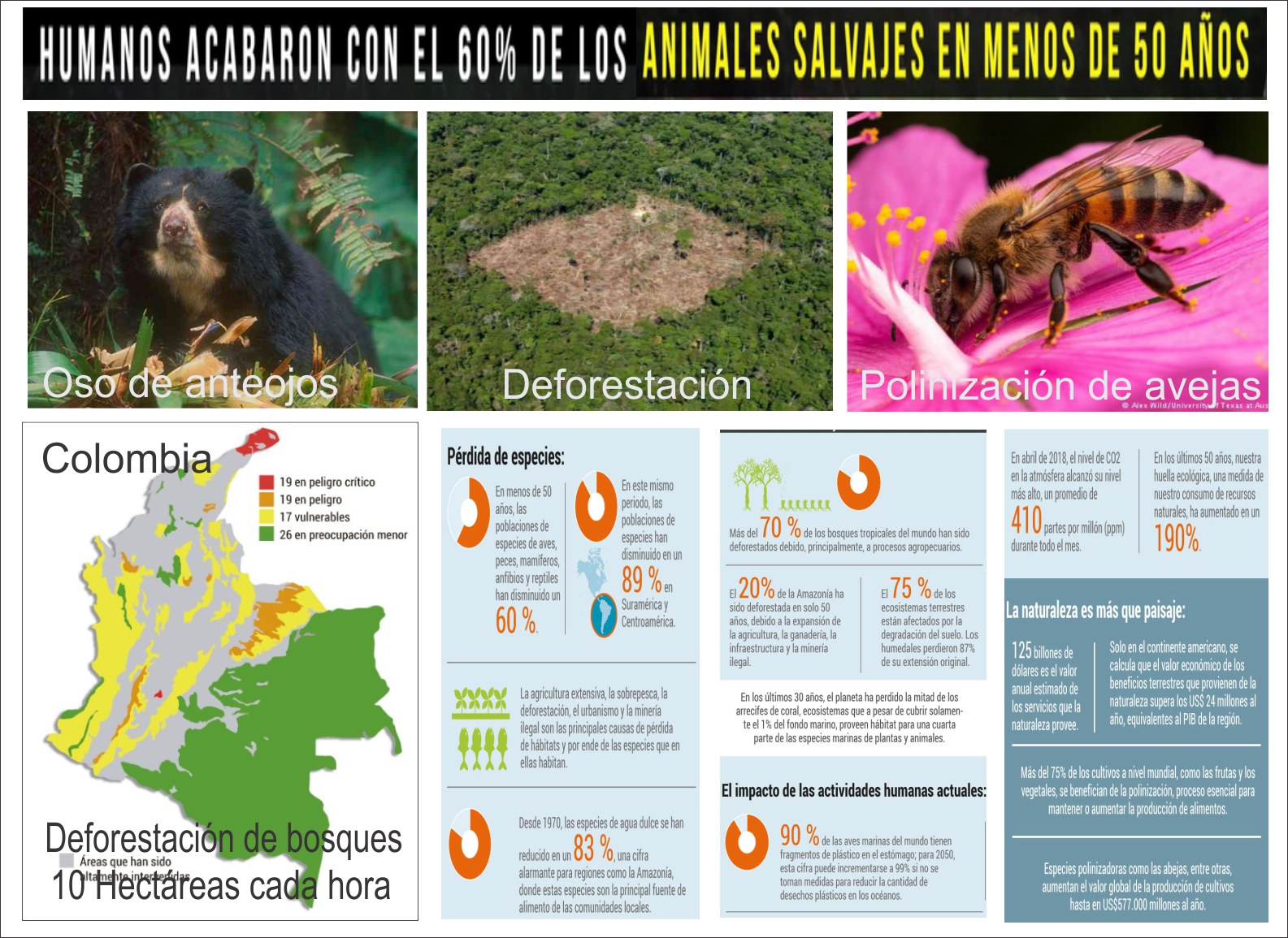 Los humanos acabaron con el 60% de la vida en tan solo 40 a&ntilde;os
