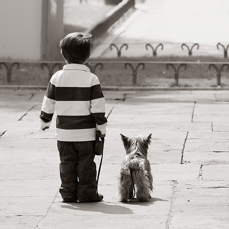 El perrito cojo (reflexi&oacute;n)