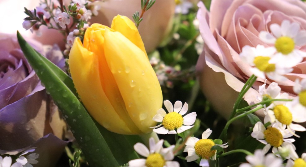&iquest;Qu&eacute; flores regalar en primavera?