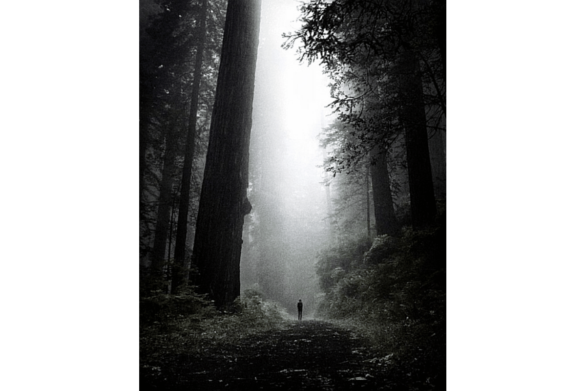 La sombra y la luz. Et in umbra lucis.