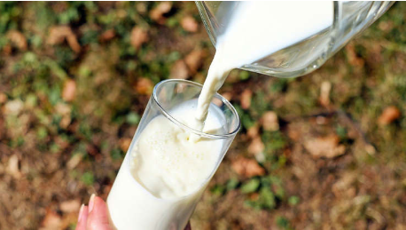 Exceso de ingesta de leche, mayor riesgo c&aacute;ncer de pr&oacute;stata
