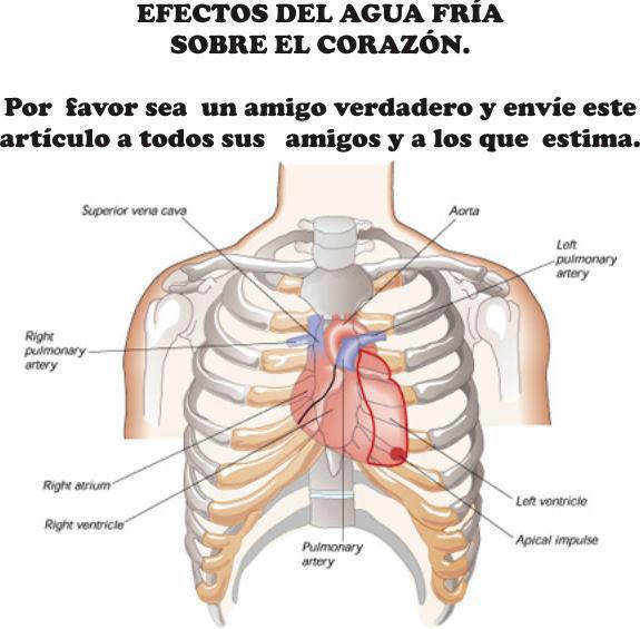 Efectos del agua fr&iacute;a sobre el coraz&oacute;n