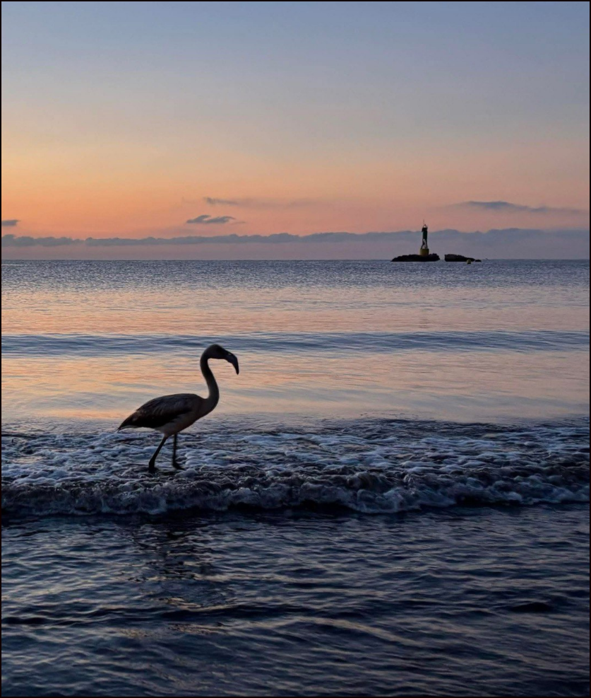  Un nuevo amanecer