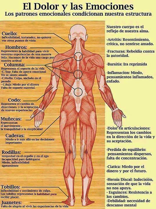 Dolores en el cuerpo: &iquest;sabes qu&eacute; representa cada uno? &iexcl;Es impresionante!