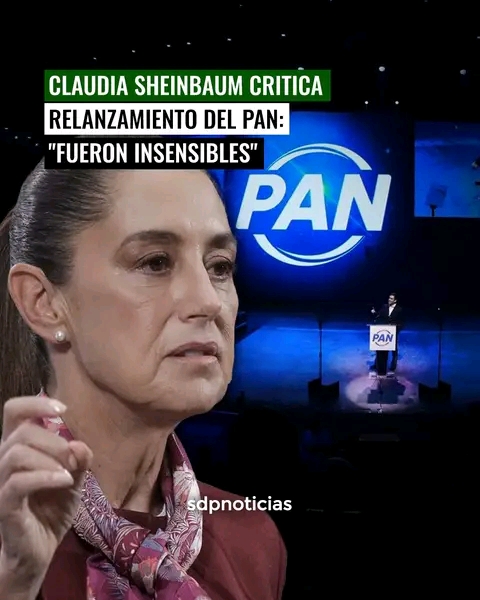 La verdadera insensibilidad radica en no escuchar ni incluir a la sociedad civil: revira Lopeztiana