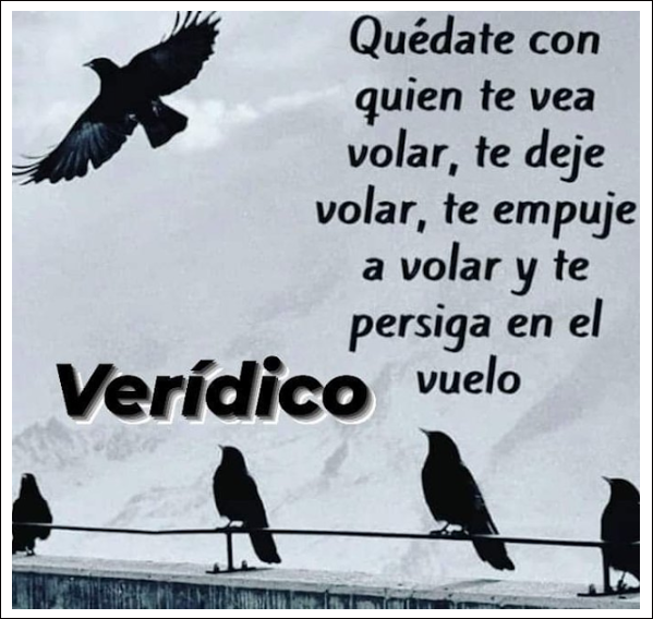  &iquest;Dej&eacute; de volar?