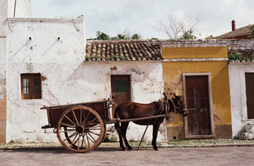 El carro de la vida