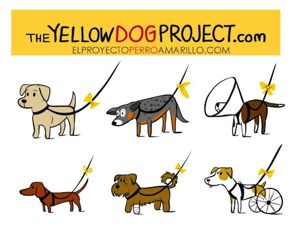 Campa&ntilde;a mundial: Un lazo amarillo en la correa de los perros 