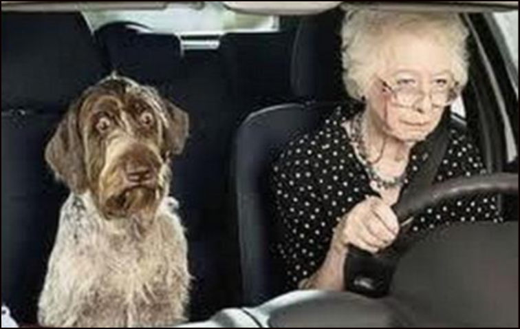  Cada edad tiene su mundo, y cada mundo su ilusi&oacute;n
