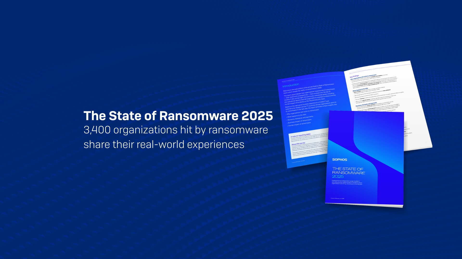 &iexcl;Ransomware en jaque! Solo el 18% de empresas colombianas paga rescate, revela Sophos