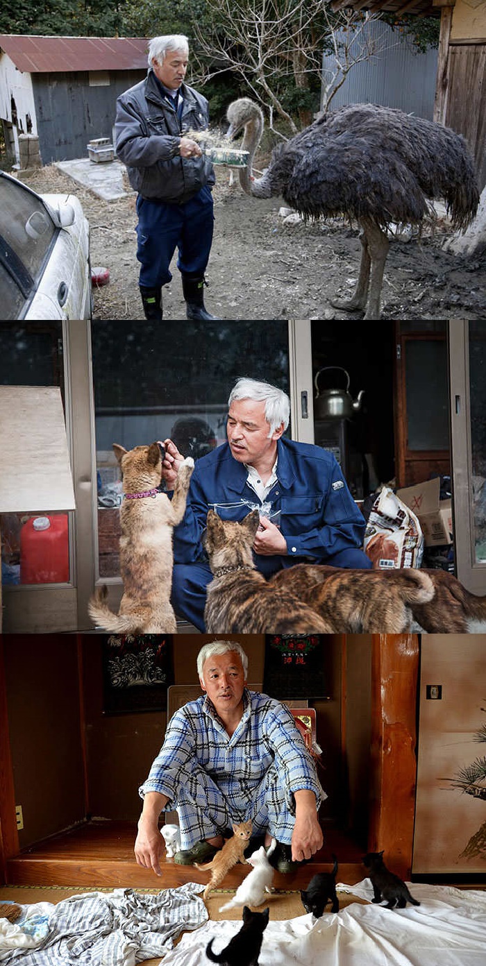 Arriesga su vida para alimentar a estos animales en la zona radiactiva de Fukushima