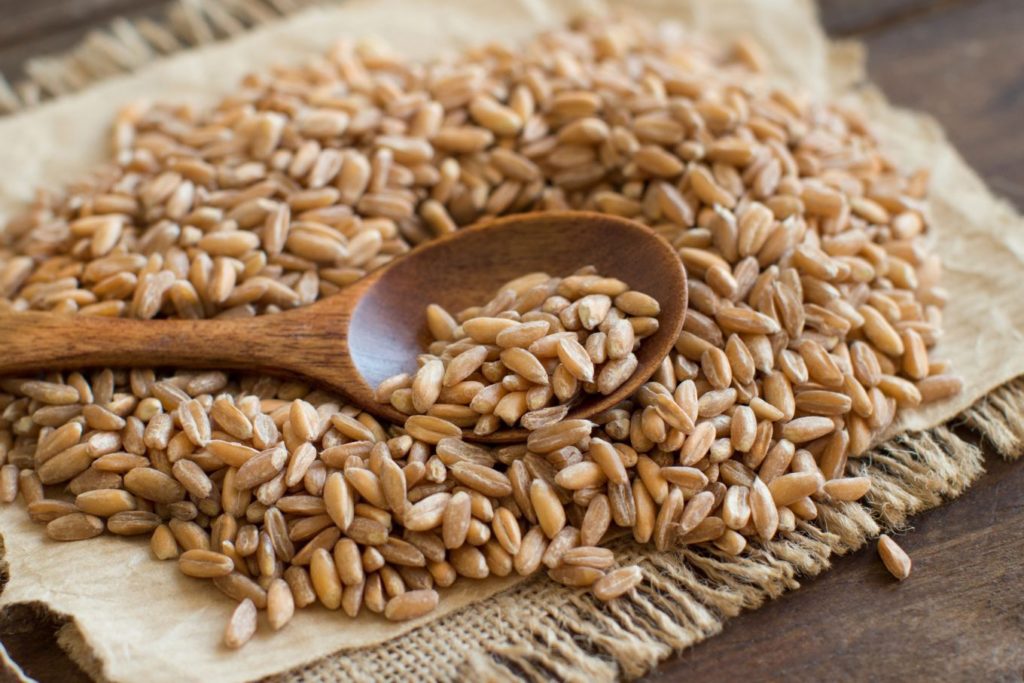  &iquest;Cu&aacute;les son las diferencias entre la espelta y la avena?
