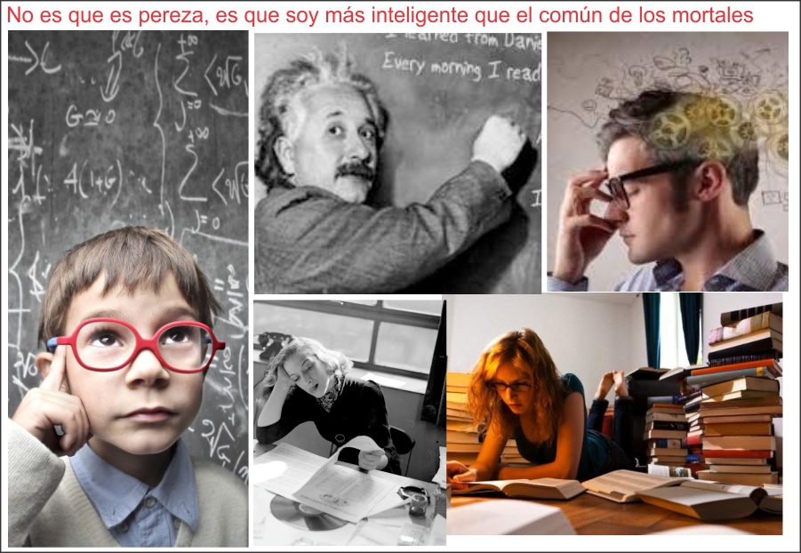  No es pereza, es que soy m&aacute;s inteligente que el com&uacute;n de los mortales