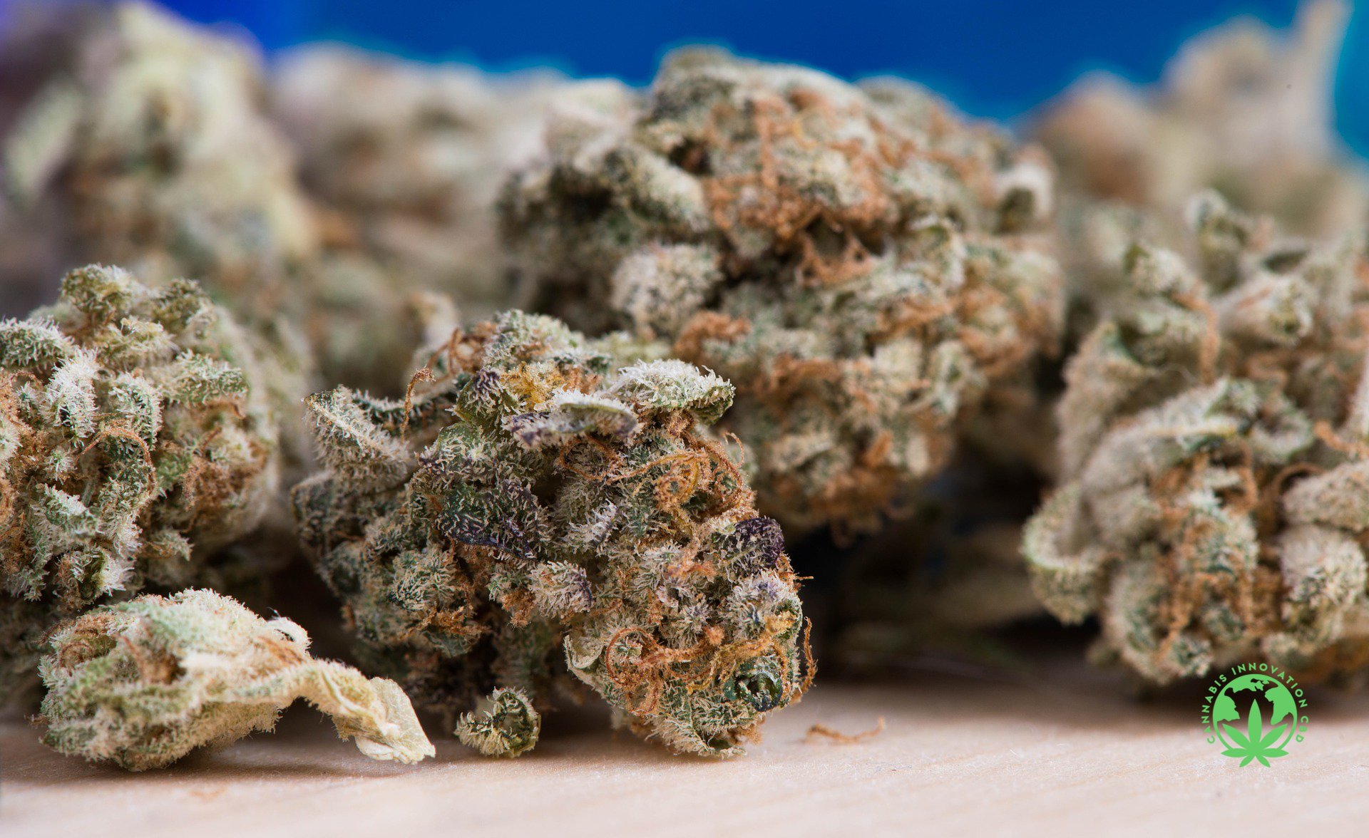 Flores de Marihuana baratas de CBD