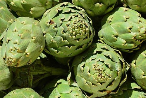  plantas herb&aacute;ceas. el h&iacute;gado,el colesterol en el intestino.