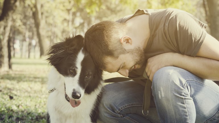 Ahora es verdad cient&iacute;fica: los perros reconocen las emociones humanas