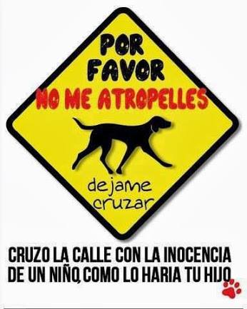 EN PRO DE LOS ANIMALES