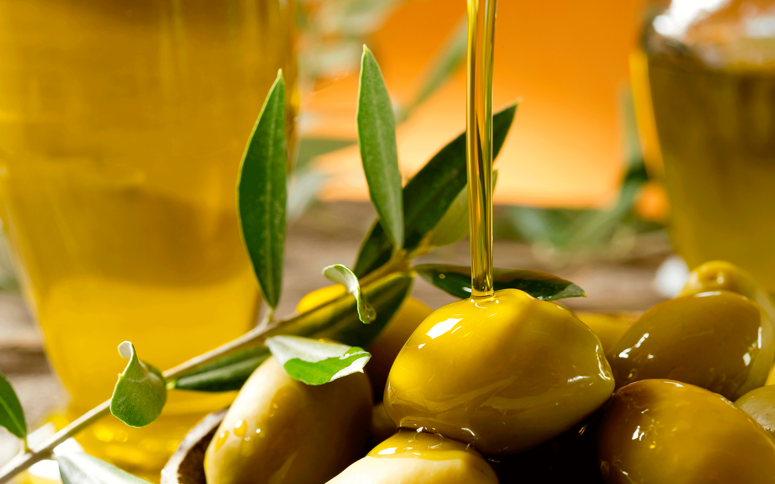 El aceite de oliva protege contra el c&aacute;ncer de mama