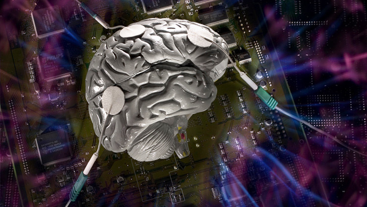 Cient&iacute;ficos descubren cerca de 100 nuevas &aacute;reas en el cerebro (VIDEO):