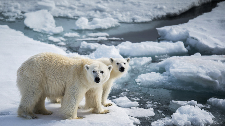 Rusia pierde varias islas a causa del calentamiento global: