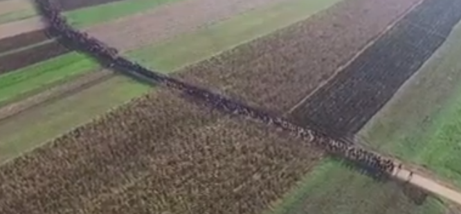 " EL DR&Oacute;N DE LA VERGUENZA EUROPEA Y LAS HUMILLANTES IMAGENES DEL &Eacute;XODO A NINGUNA PARTE " 
