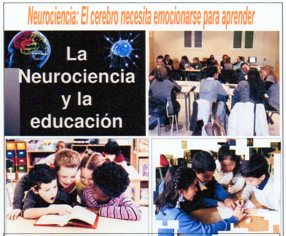 Neurociencia: El cerebro necesita emocionarse para aprender