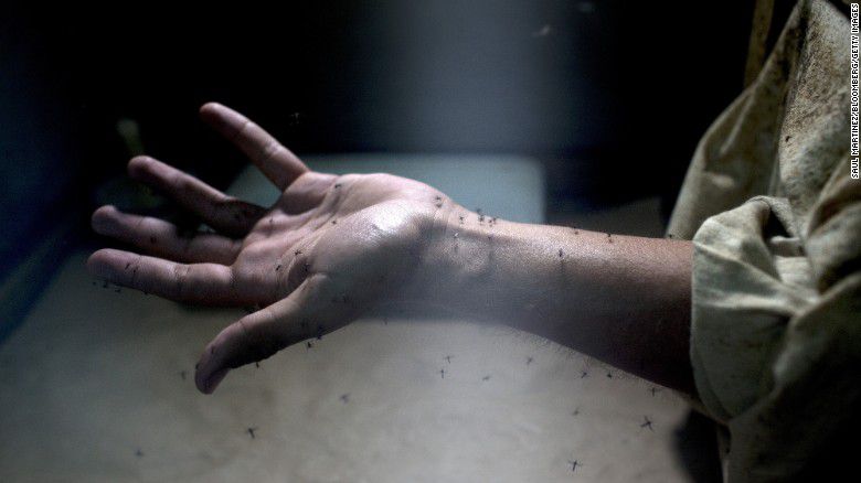 Esta es la raz&oacute;n por la que los hombres tienen que preocuparse por el zika