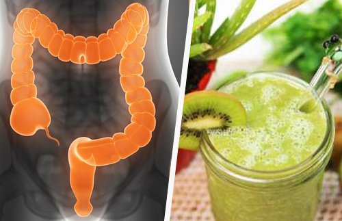 M&aacute;s del 90% de las enfermedades est&aacute;n relacionadas con un colon sucio. &iexcl;Aprende a limpiarlo!