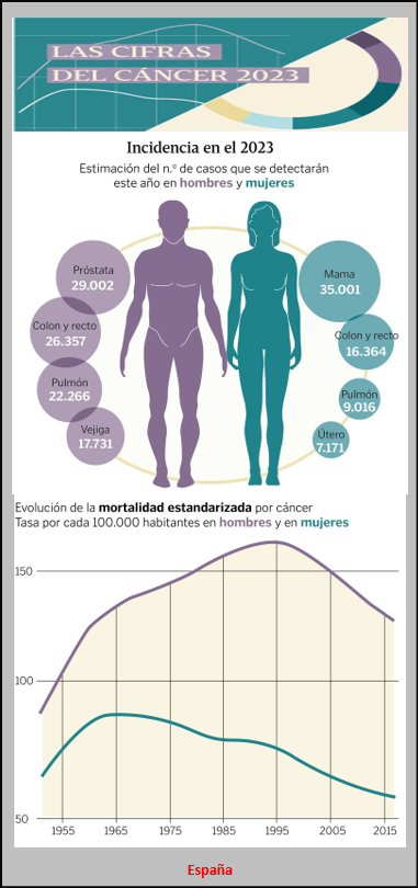  C&aacute;ncer 2023: Los m&aacute;s diagnosticados, mortalidad y supervivencia