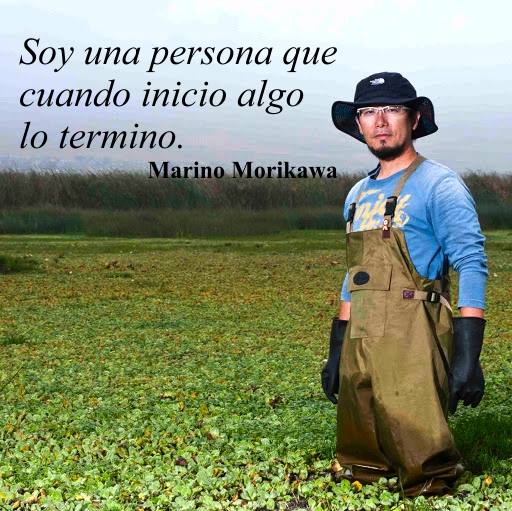 CIENT&Iacute;FICO DESCONTAMIN&Oacute; GRATIS Y SIN QUIMICOS UNA LAGUNA NATURAL
