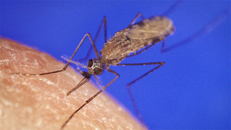 Latinoam&eacute;rica en alerta: Revelan qu&eacute; epidemias afectar&aacute;n a la regi&oacute;n: