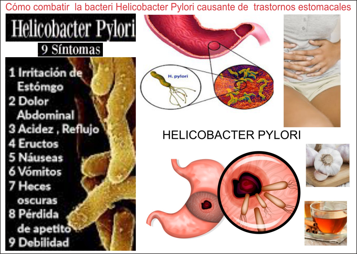  C&oacute;mo eliminar de ra&iacute;z la bacteria Helicobacter pylori naturalmente