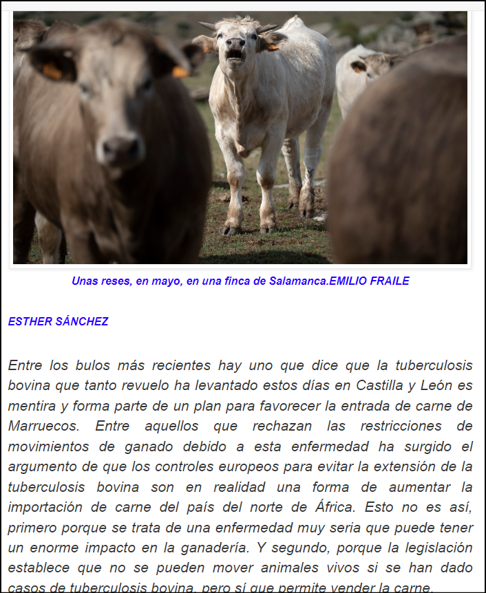  Nuevo bulo sobre la tuberculosis bovina y que ello permita la entrada de carne de Marruecos