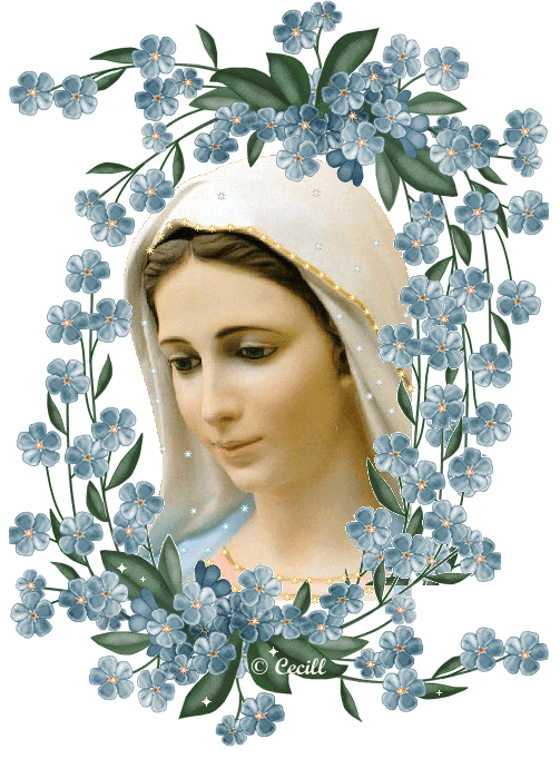 VISITARA ARGENTINA VIDENTE DE MEDJUGORJE!!!