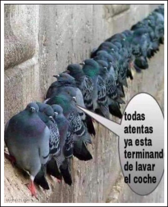  Me cay&oacute; del cielo una ingente muestra de castigo (El Creador lo ve todo, me ha dicho el P&aacute;rroco)
