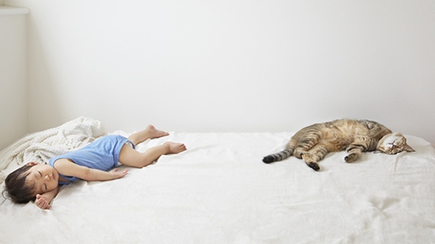 Los beb&eacute;s que viven con mascotas desarrollan menos alergias