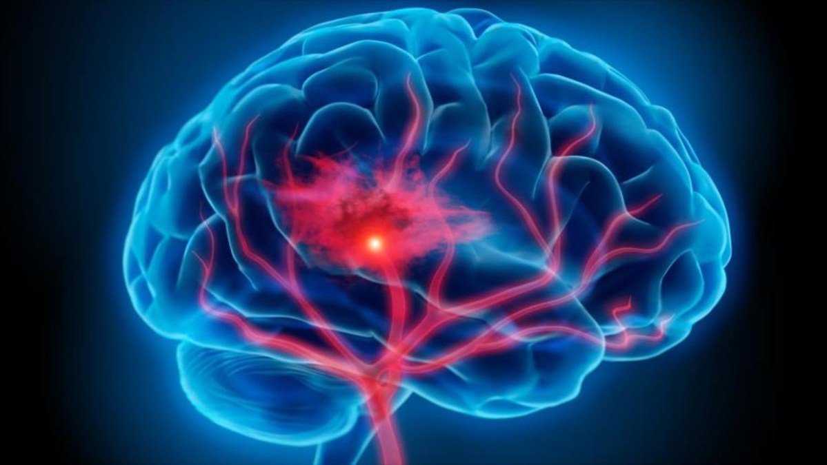 Hombres vs mujeres: &iquest;qui&eacute;n tiene el cerebro m&aacute;s activo? Un estudio cient&iacute;fico lo afirma