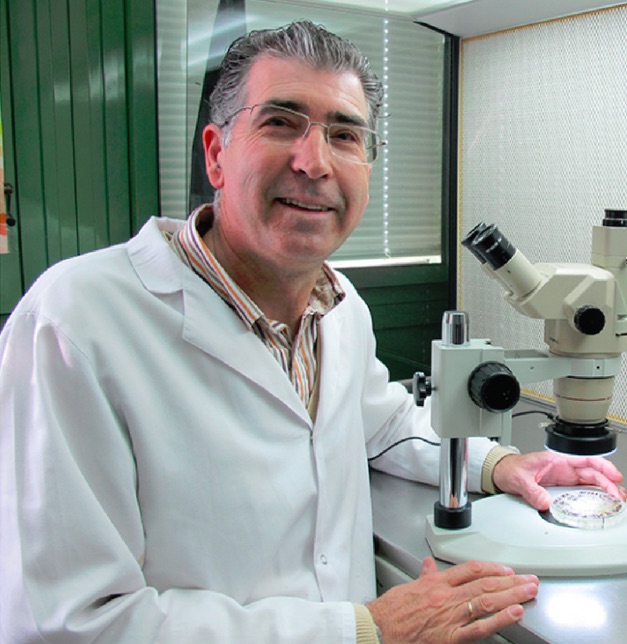 Cel&iacute;acos del mundo celebran el hallazgo de cient&iacute;ficos al aislar el gluten del trigo gen&eacute;ticamente