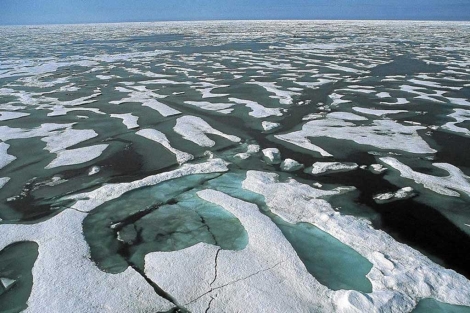 El &Aacute;rtico perder&aacute; su hielo en verano dentro de 4 a&ntilde;os'