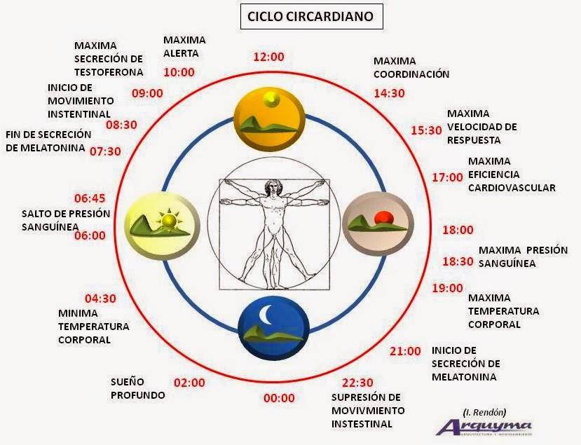 SALUD:  COMO ADMINISTRAS TU TIEMPO