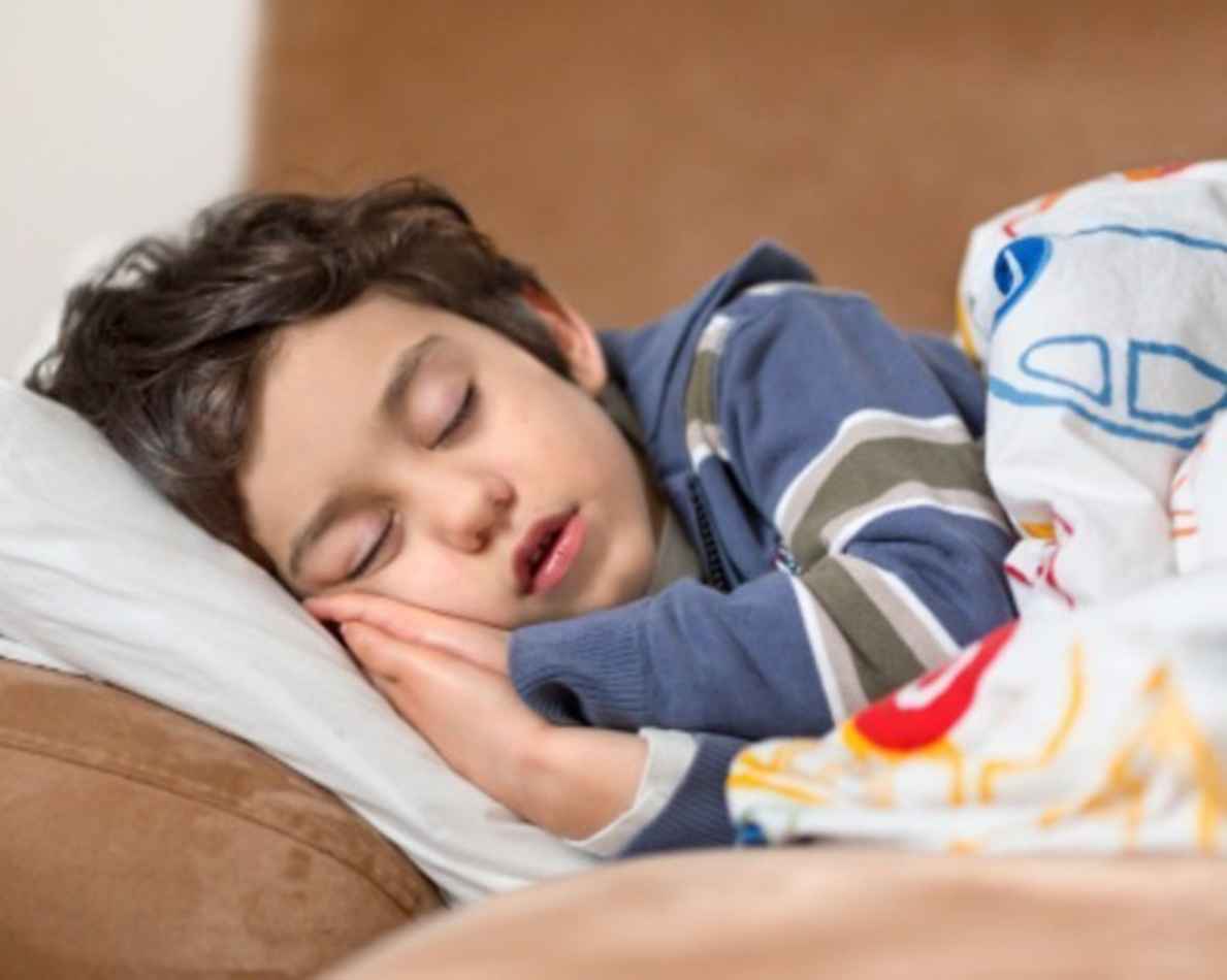 &iquest;Es posible vivir durmiendo 4 horas por d&iacute;a?