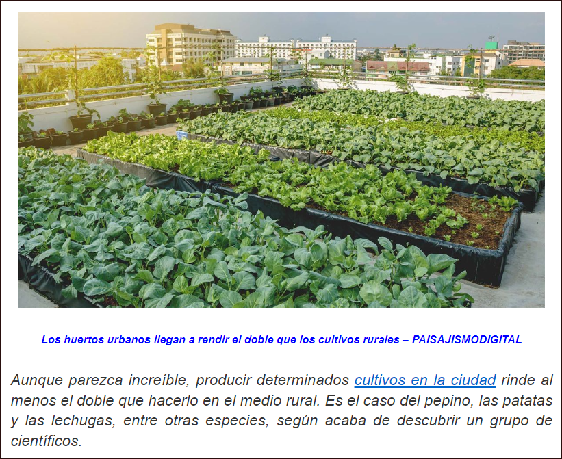 Los huertos urbanos pueden rendir el doble que un cultivo rural