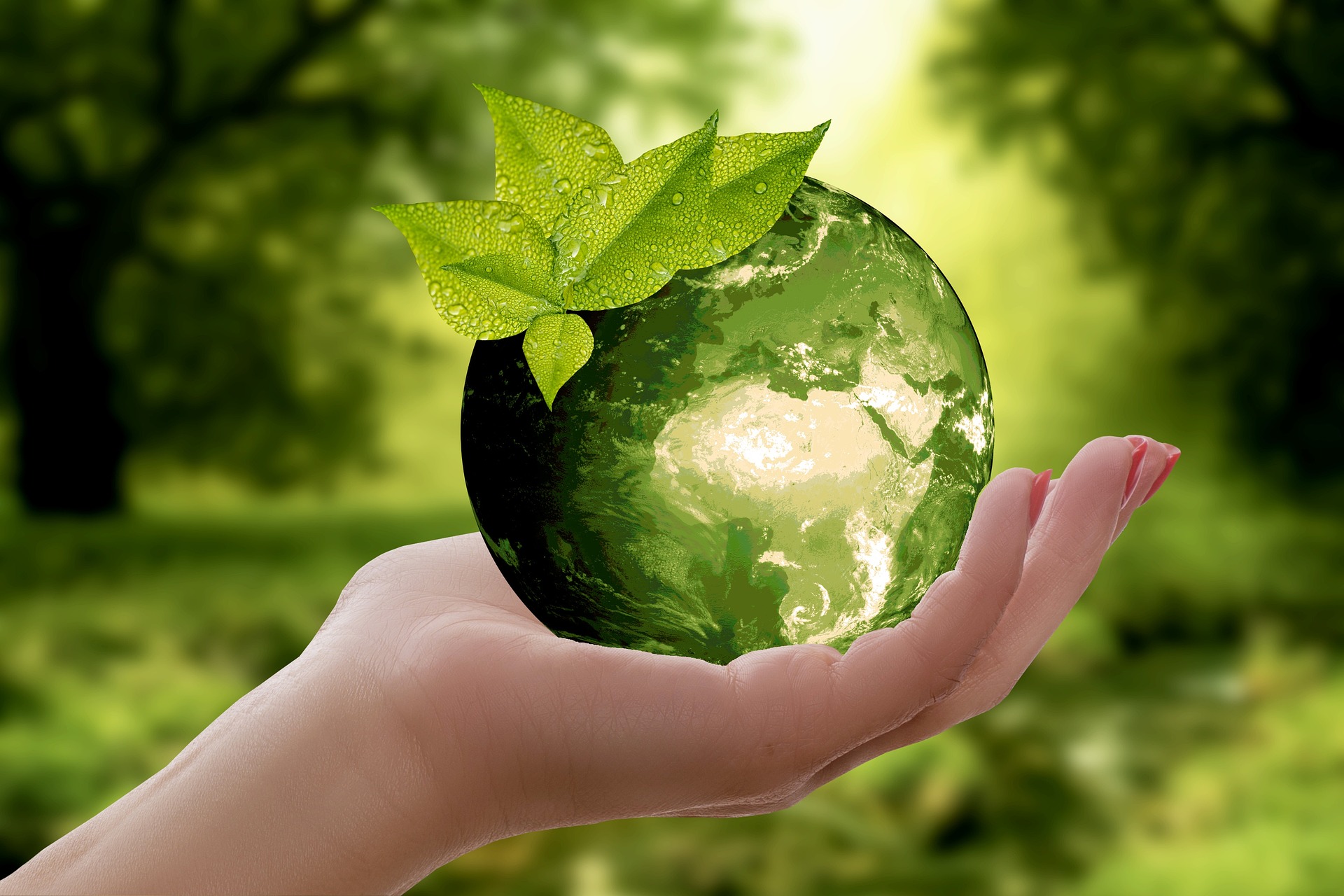 El futuro en nuestras manos: &iquest;Por qu&eacute; la sustentabilidad es clave para la vida?