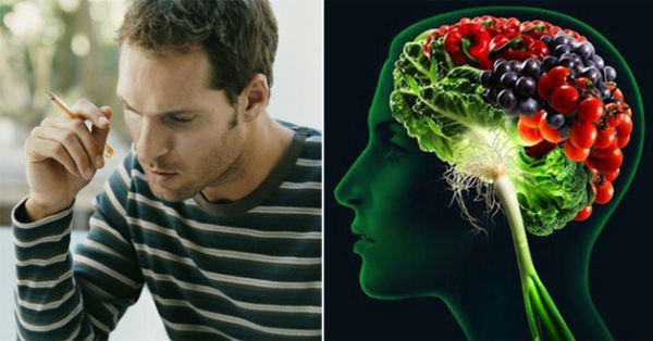 Conoce estas soluciones naturales para preservar la memoria
