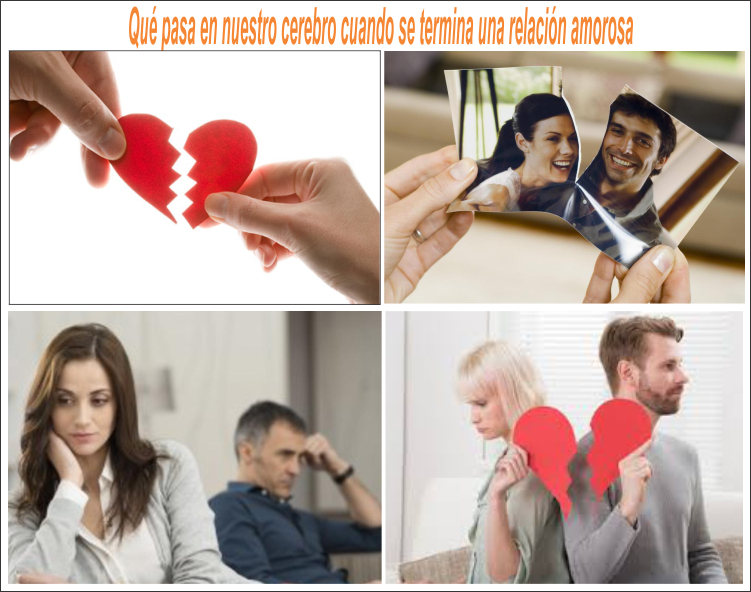 &iquest;Qu&eacute; pasa en el cerebro cuando termina una relaci&oacute;n amorosa?
