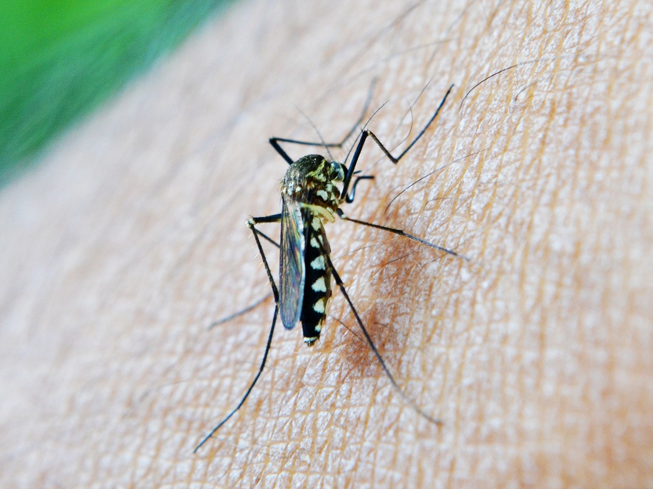Gavi dise&ntilde;a plan para crear un suministro sostenible de vacunas contra la malaria