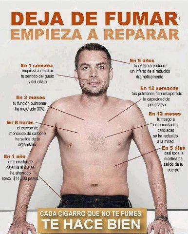 Dejar el cigarrillo (infograf&iacute;a)